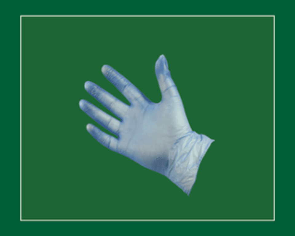 Blue Vinyl Powdered Disposable Gloves