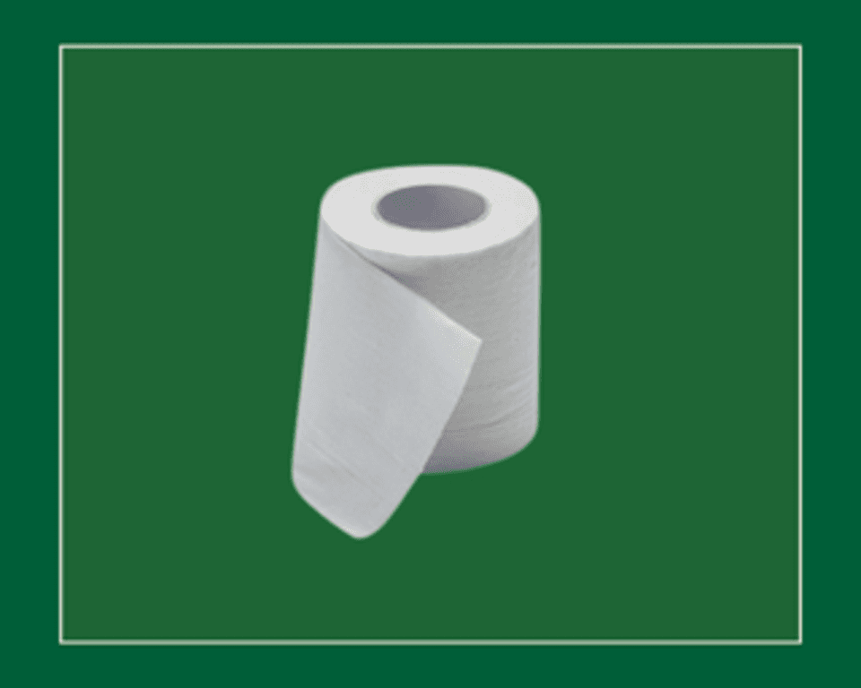 White Toilet Rolls 2-Ply 200 Sheets