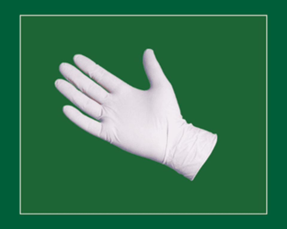 Latex Powdered Disposable Gloves