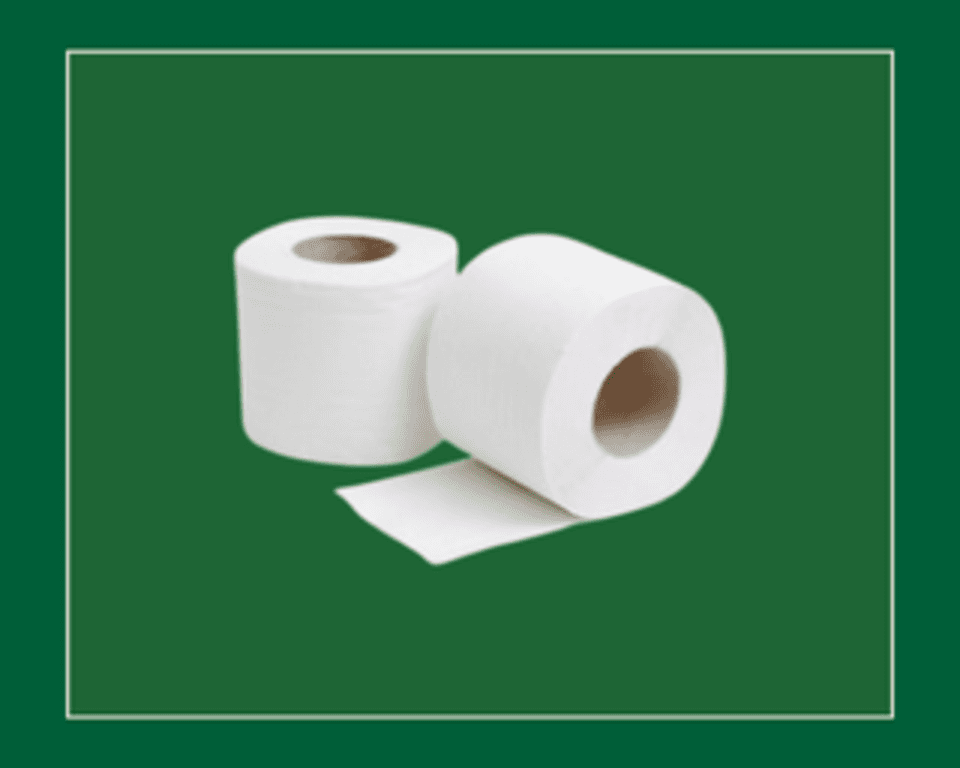 White Toilet Rolls 2-Ply 320 Sheets