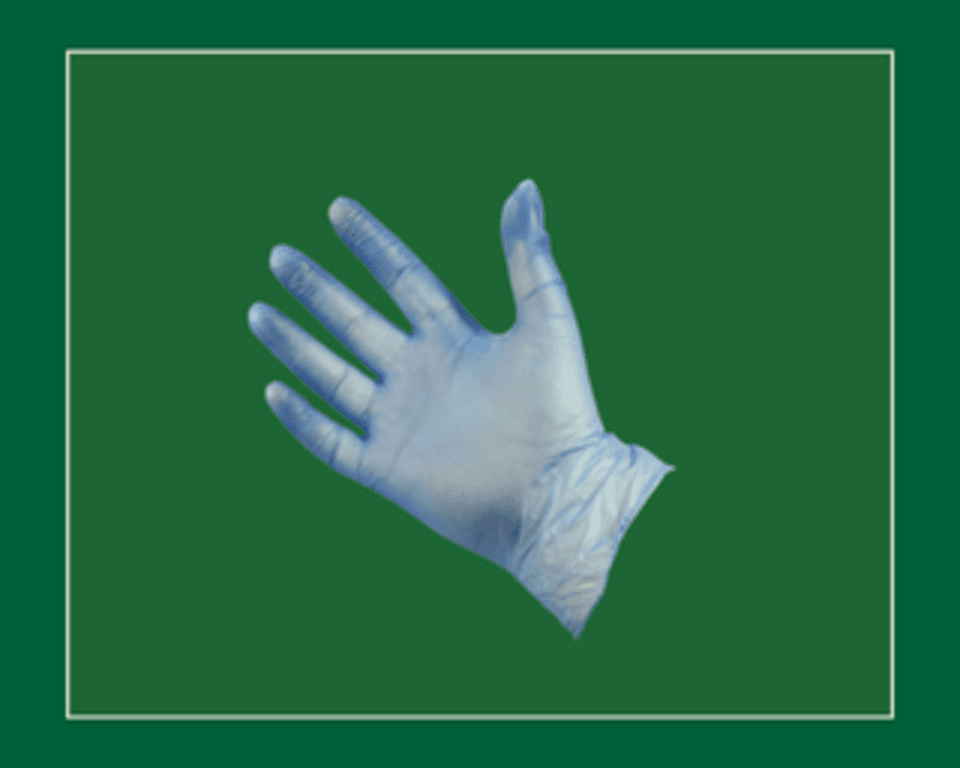 Blue Vinyl Powder Free Disposable Gloves