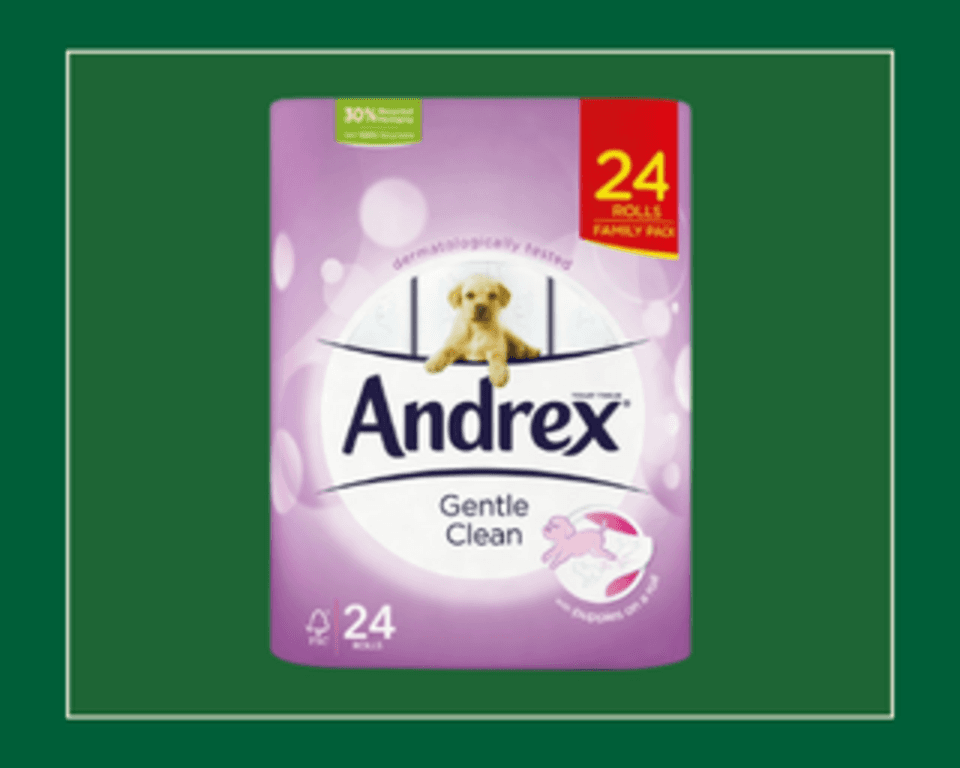 Andrex® Gentle Clean Toilet Rolls 24 Rolls