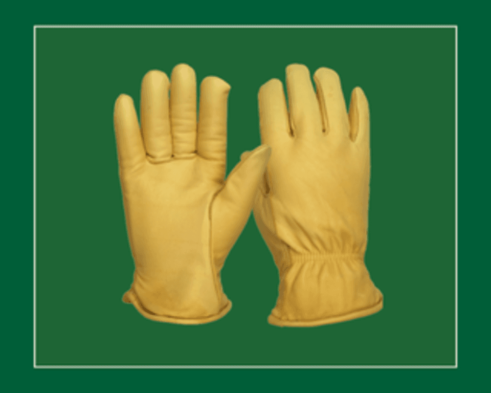 Premium Leather Driver Gloves