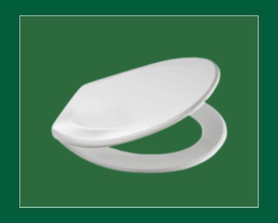 White Plastic Toilet Seat