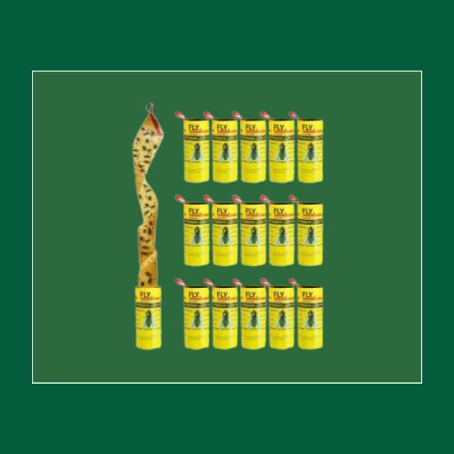 Website (89)