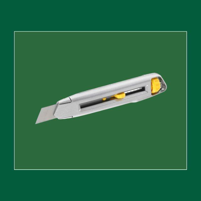 Website (100)