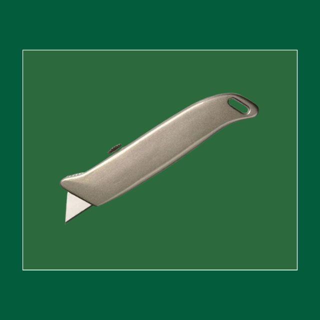 Website (99)