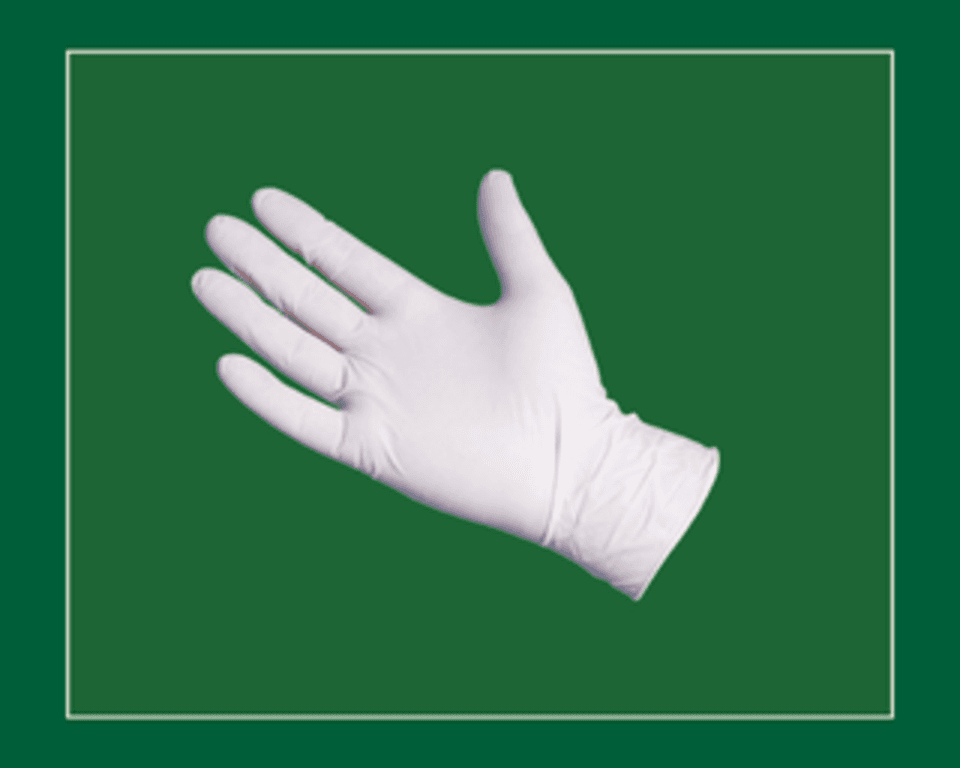 Latex Powder Free Disposable Gloves