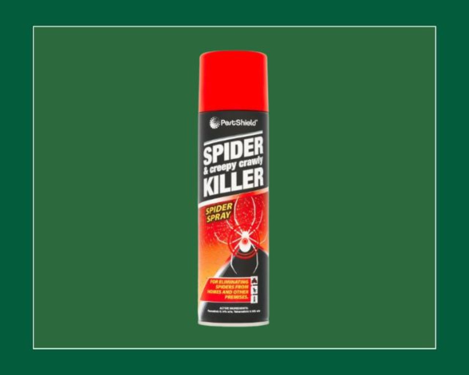 Spider and Creepy Crawley Killer Aerosol 200ml