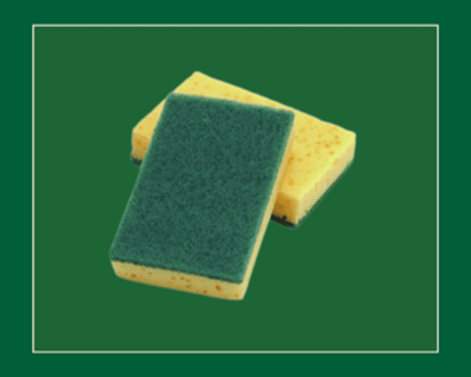 Sponge Scourers 