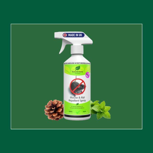 Website   2025 11 04T171044.605