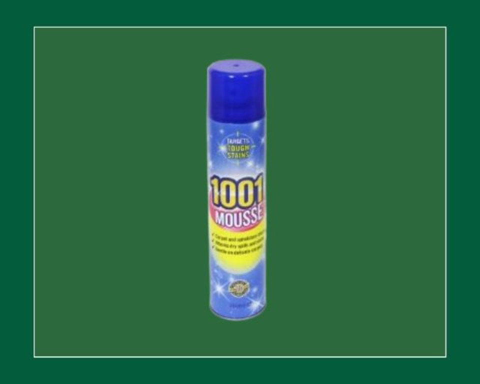 1001 Carpet and Upholstery Mousse 350ml