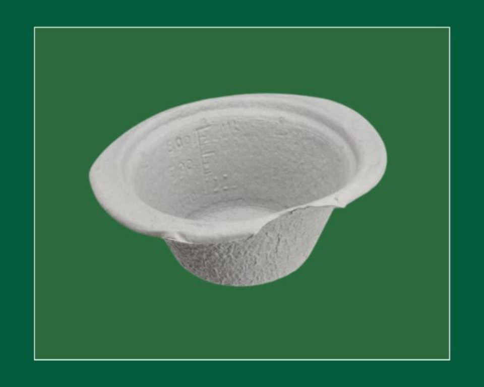 Pulp Disposable Vomit Bowl