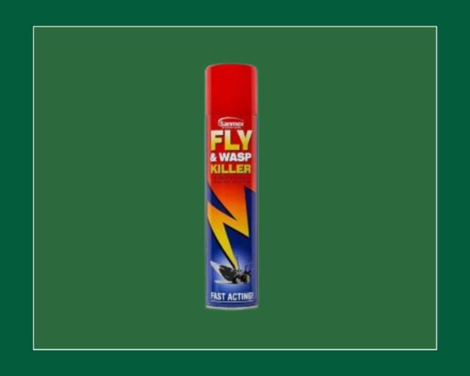 Fly and Wasp Killer Aerosol
