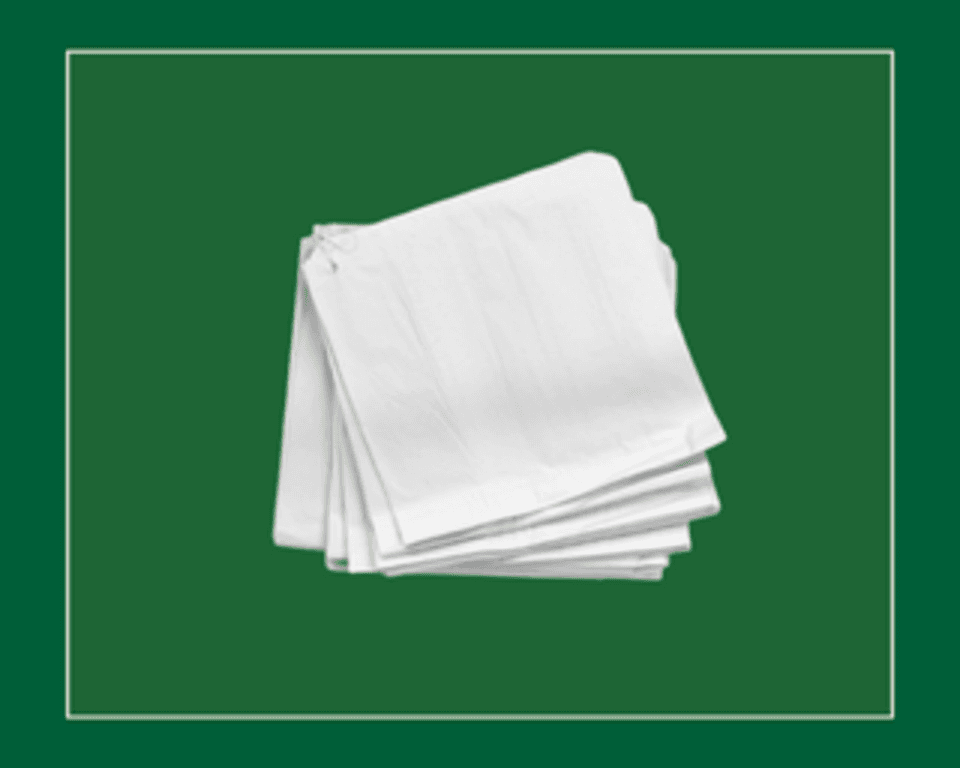 10X10 Unstrung White Sulphite Sandwich Bags