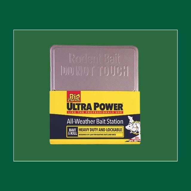 Website   2025 11 04T172427.744